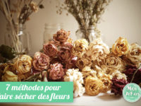 comment faire sécher des fleurs