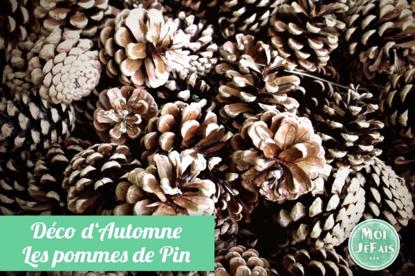 blanchir pomme de pin